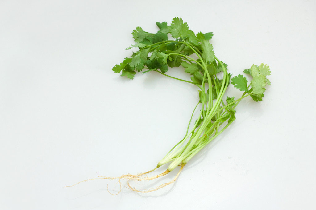 有机香菜(50克)